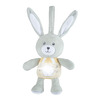 CHicco Lullaby Stardust Bunny mackó