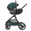 MAXI-COSI OXFORD stroller babakocsi