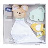 chicco birth gift set