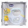 chicco feeding gift set