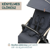 Chicco Goody XPlus babakocsi stroller