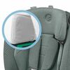 titan pro authentic grey