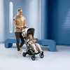 maxi cosi oxford cabin oak truffle